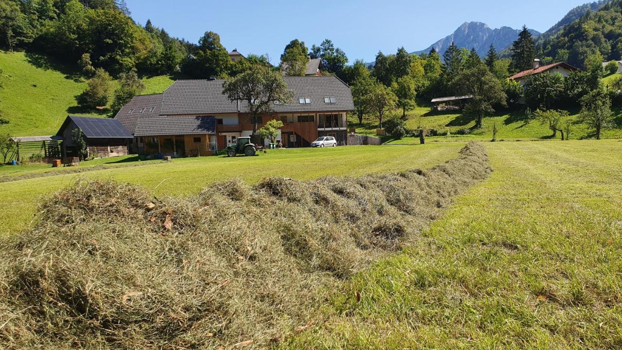Apartments Tourist Farm Storman With Ev Ch-Station Tržič Extérieur photo