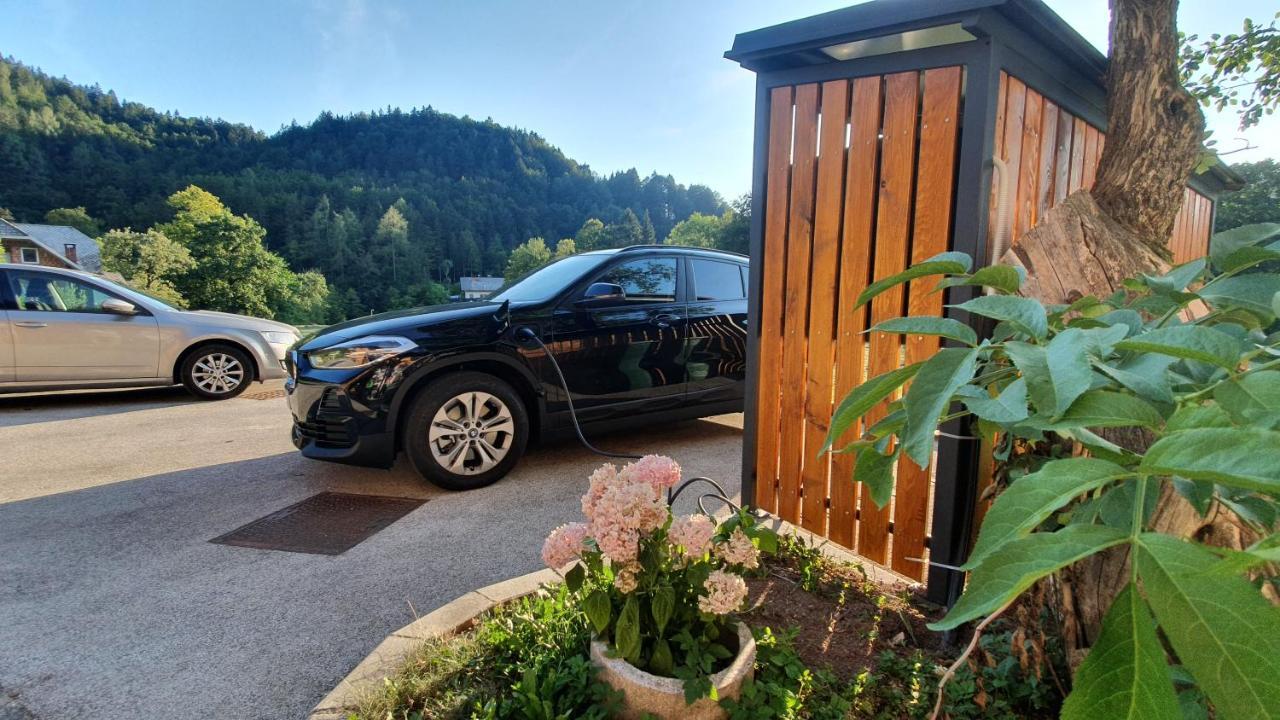 Apartments Tourist Farm Storman With Ev Ch-Station Tržič Extérieur photo