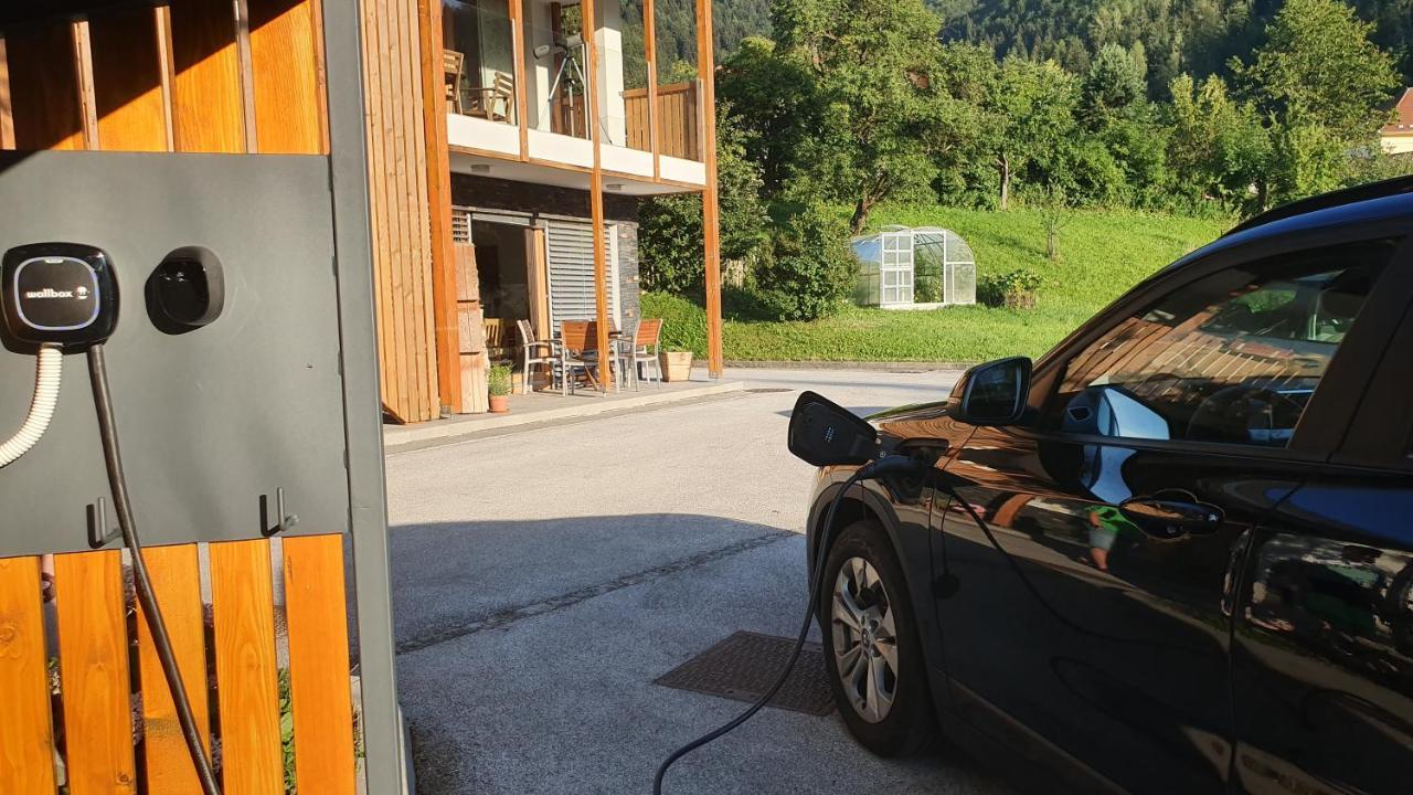 Apartments Tourist Farm Storman With Ev Ch-Station Tržič Extérieur photo