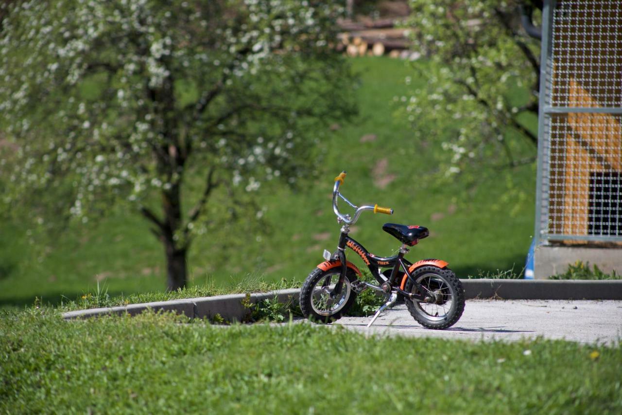 Apartments Tourist Farm Storman With Ev Ch-Station Tržič Extérieur photo